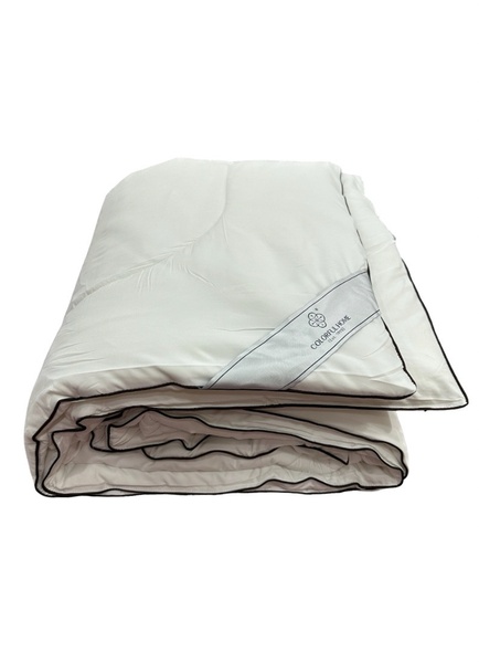 Зимнее одеяло Premium сатин синтепух 200x220 см F0352 фото