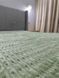 Двосторонній плед на овчині 3D 200x220 см світло-зелений F0315 фото 1